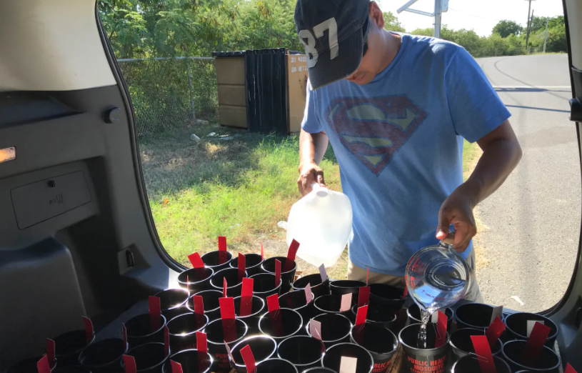 Počelo širenje Komarac aedes vittatus nositelj najopasnijih bolesti